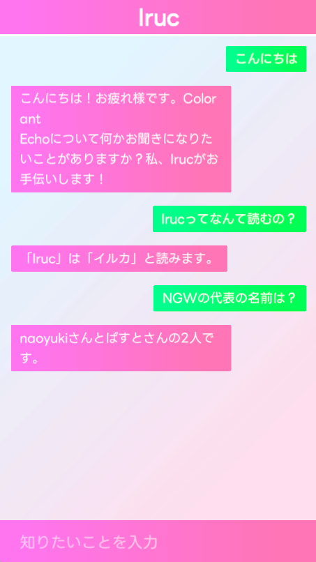 Iruc 対話の様子1